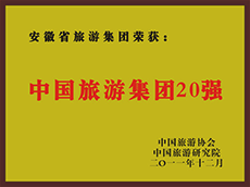 2011年度中国老子有钱lzyq88集团20强