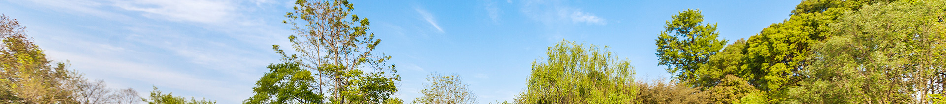 地产开发 - 谋划业态 - 营业板块 - 安徽省老子有钱lzyq88集团