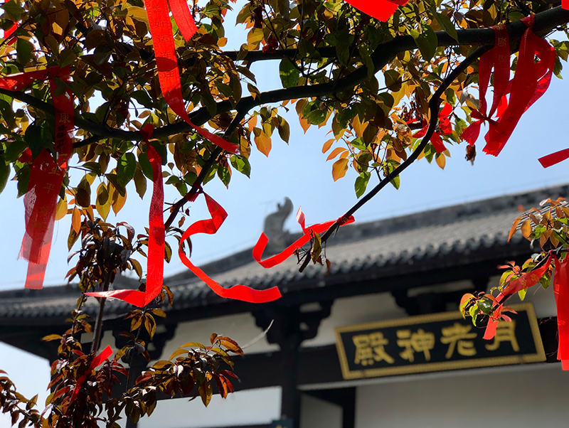 老子有钱lzyq88(中国)有限公司