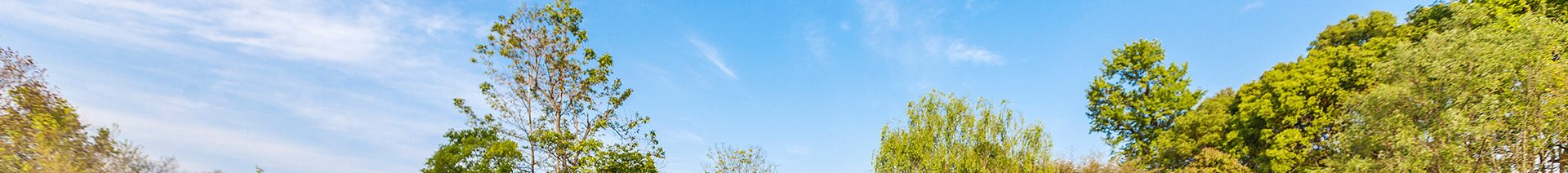 联系留言 - 安徽省老子有钱lzyq88集团