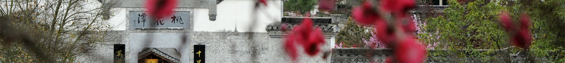 政策规则 - 纪检监察 - 安徽省老子有钱lzyq88集团