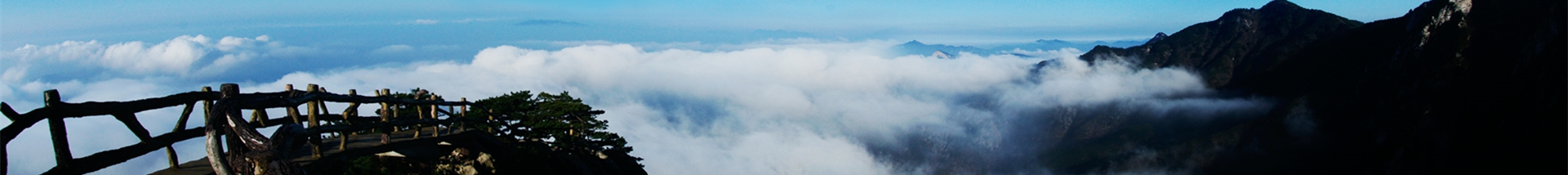 集团声誉 - 集团概况 - 安徽省老子有钱lzyq88集团