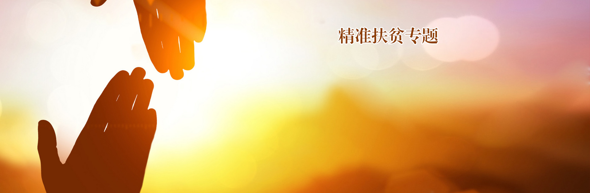 新闻资讯 - 精准扶贫 - 专题专栏 - 安徽省老子有钱lzyq88集团