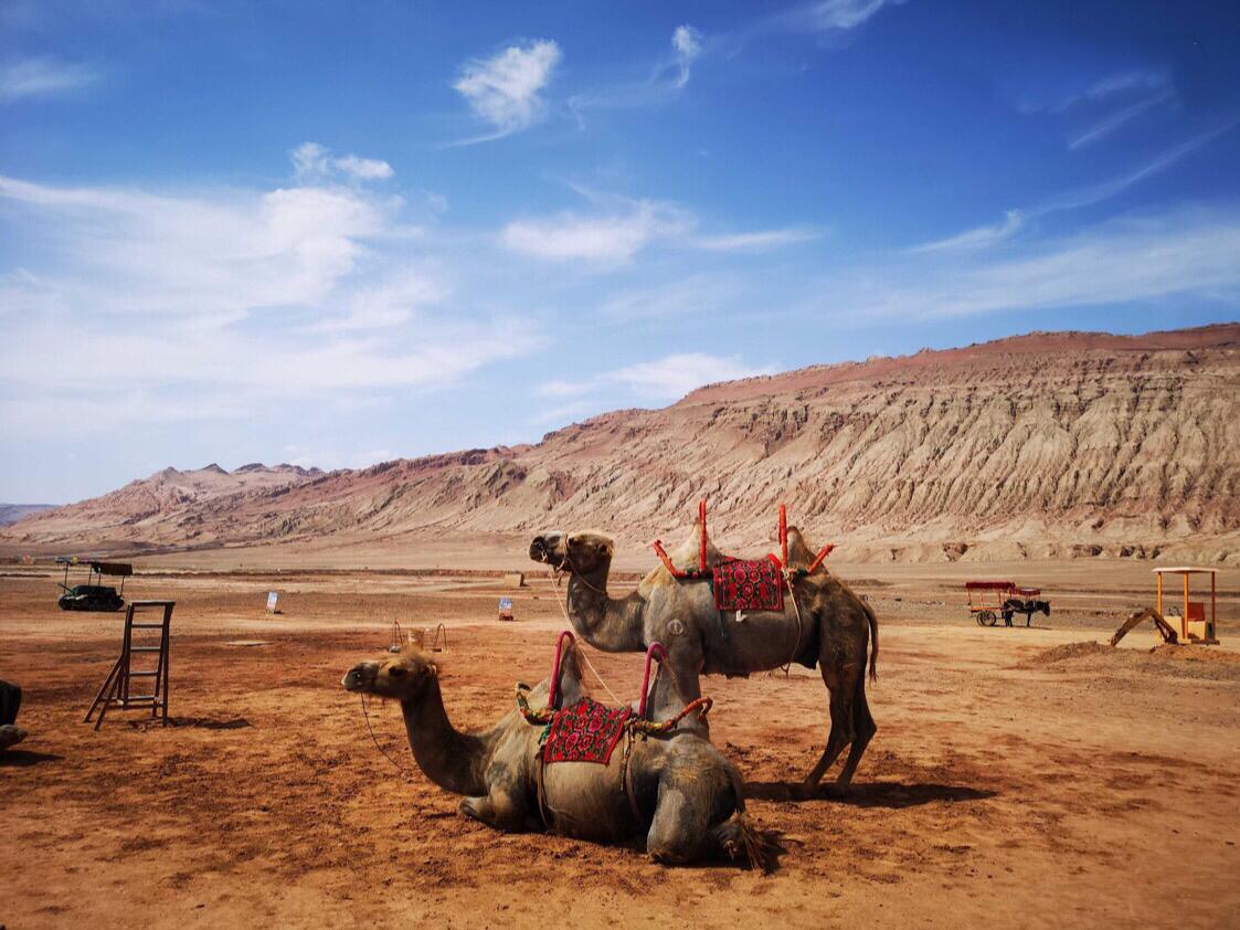 老子有钱lzyq88(中国)有限公司