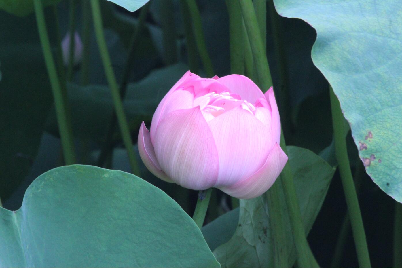 老子有钱lzyq88(中国)有限公司