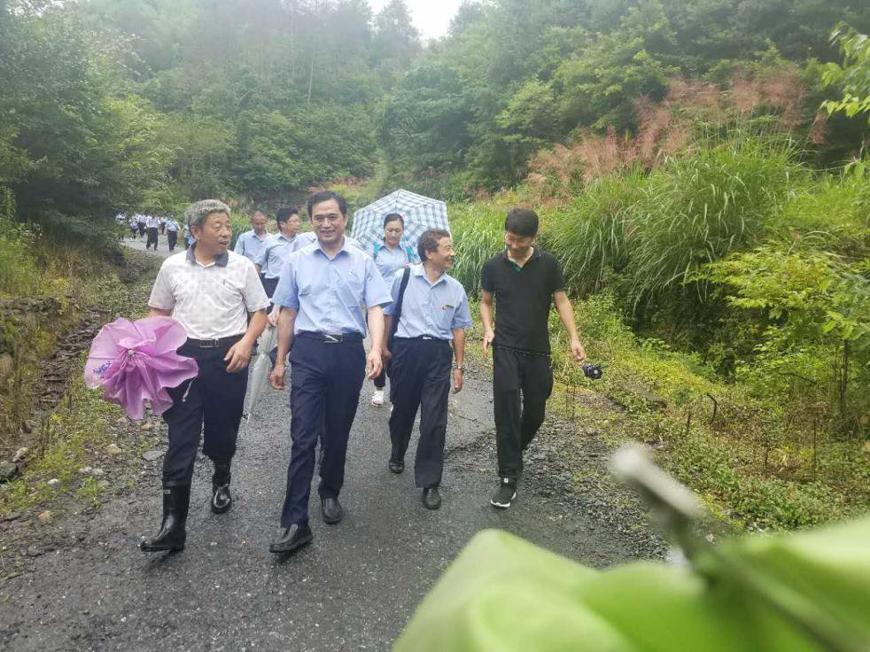 新闻资讯 - 精准扶贫 - 专题专栏 - 安徽省老子有钱lzyq88集团