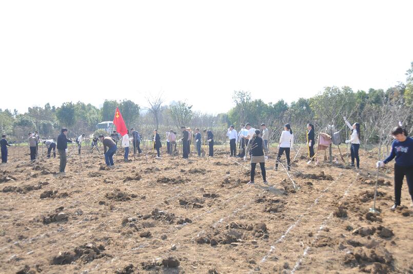 集团公司要闻 - 新闻资讯 - 安徽省老子有钱lzyq88集团