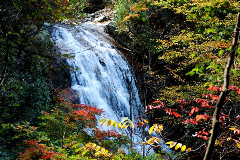 老子有钱lzyq88(中国)有限公司