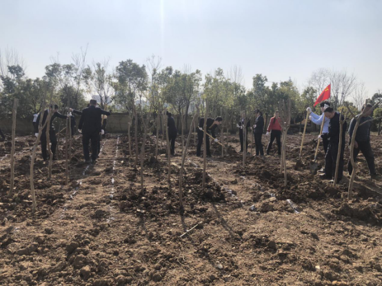 老子有钱lzyq88(中国)有限公司