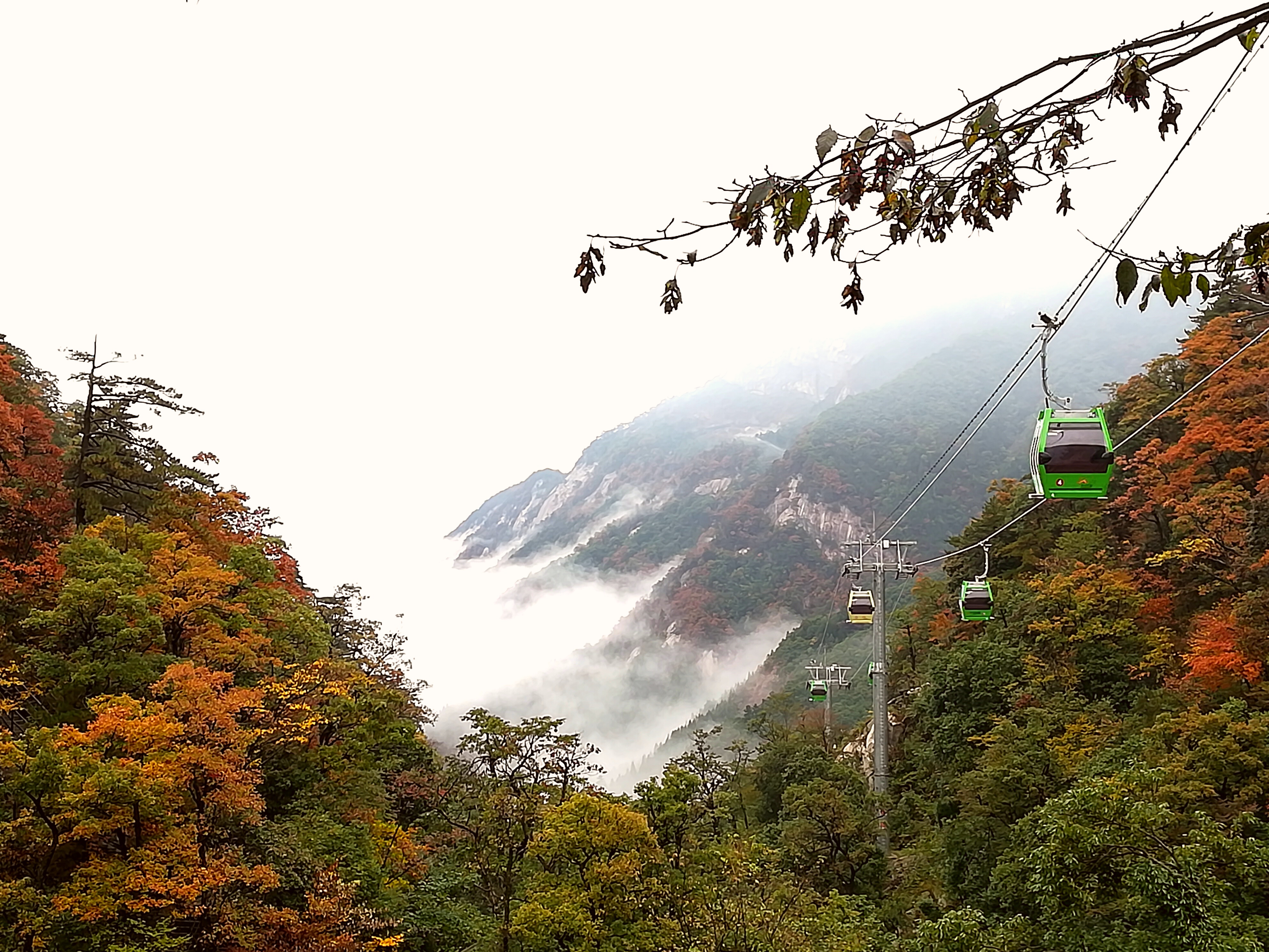 老子有钱lzyq88(中国)有限公司