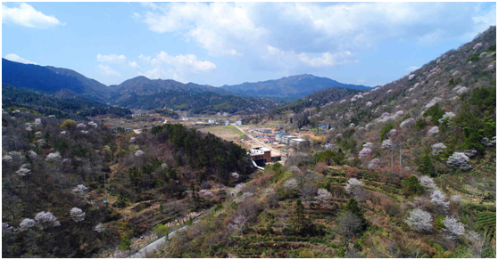 老子有钱lzyq88(中国)有限公司