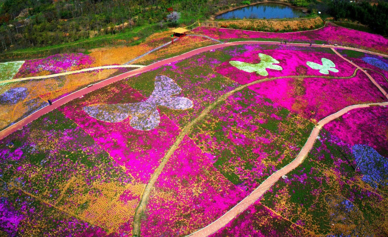 老子有钱lzyq88(中国)有限公司