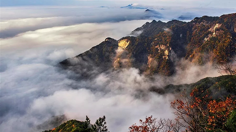 老子有钱lzyq88(中国)有限公司