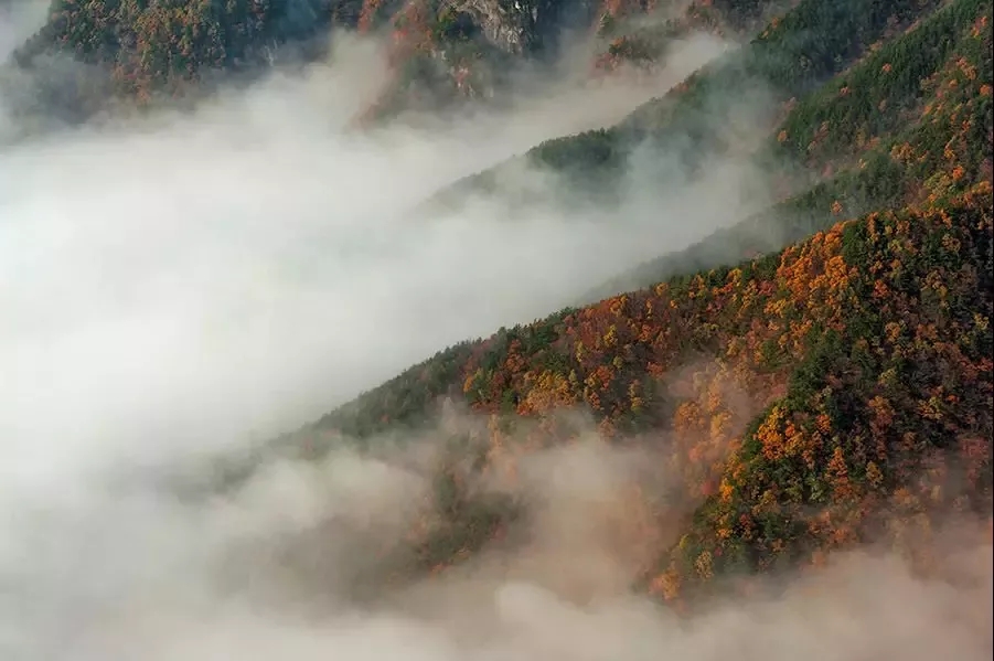 老子有钱lzyq88(中国)有限公司