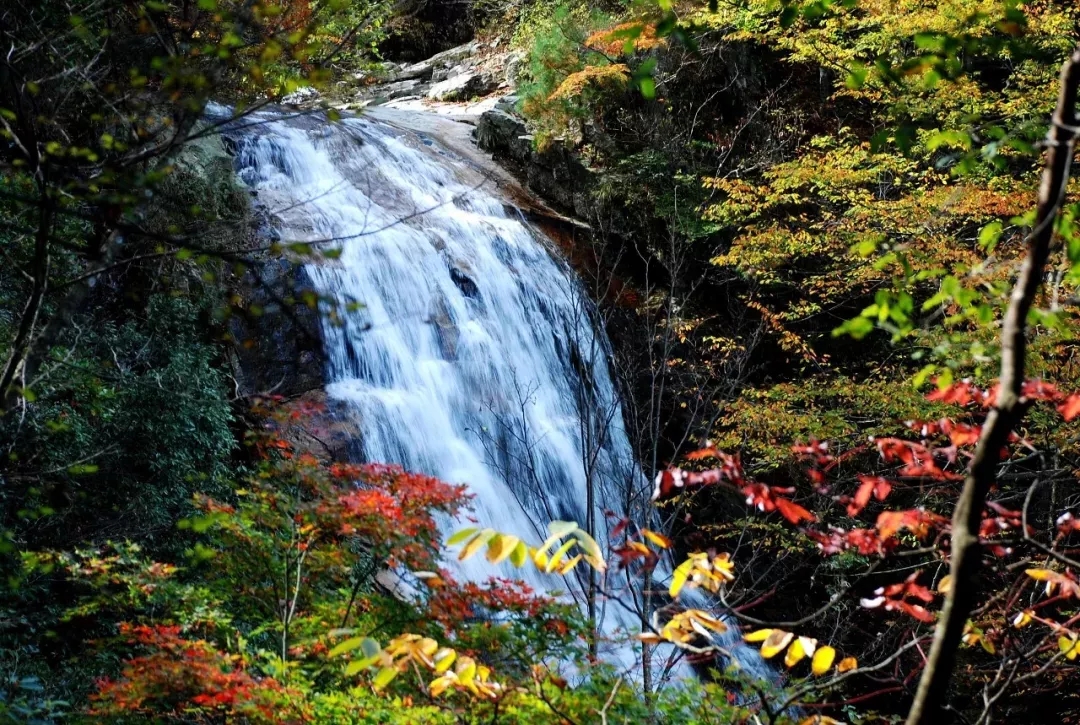 老子有钱lzyq88(中国)有限公司