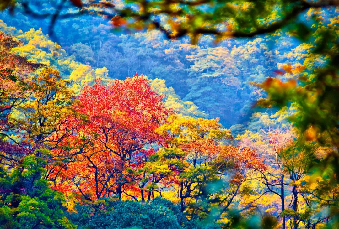 老子有钱lzyq88(中国)有限公司