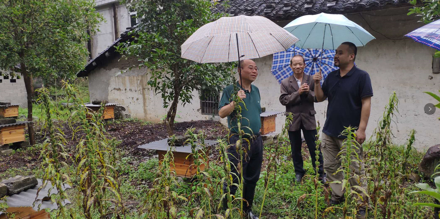 老子有钱lzyq88(中国)有限公司