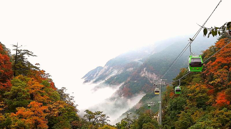 老子有钱lzyq88(中国)有限公司