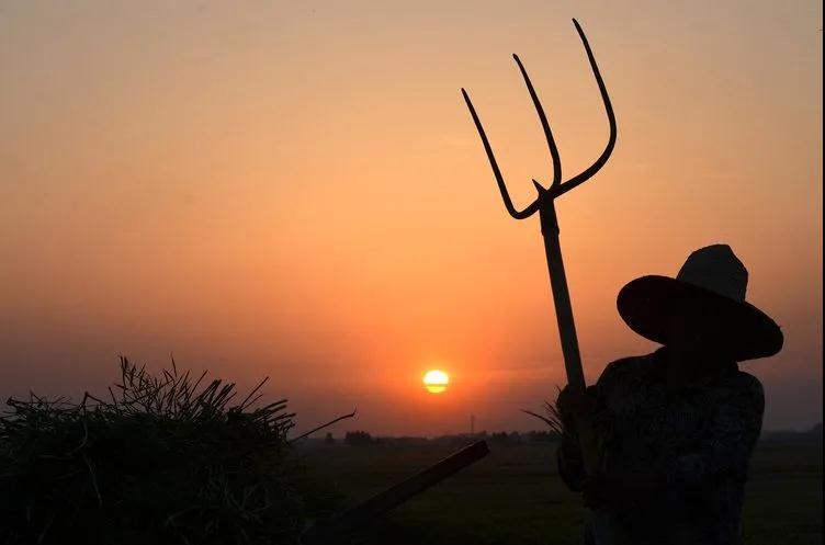 老子有钱lzyq88(中国)有限公司