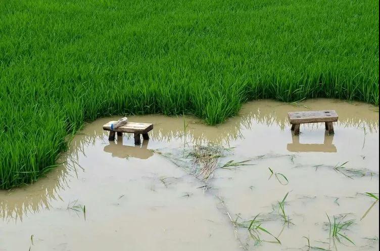 老子有钱lzyq88(中国)有限公司