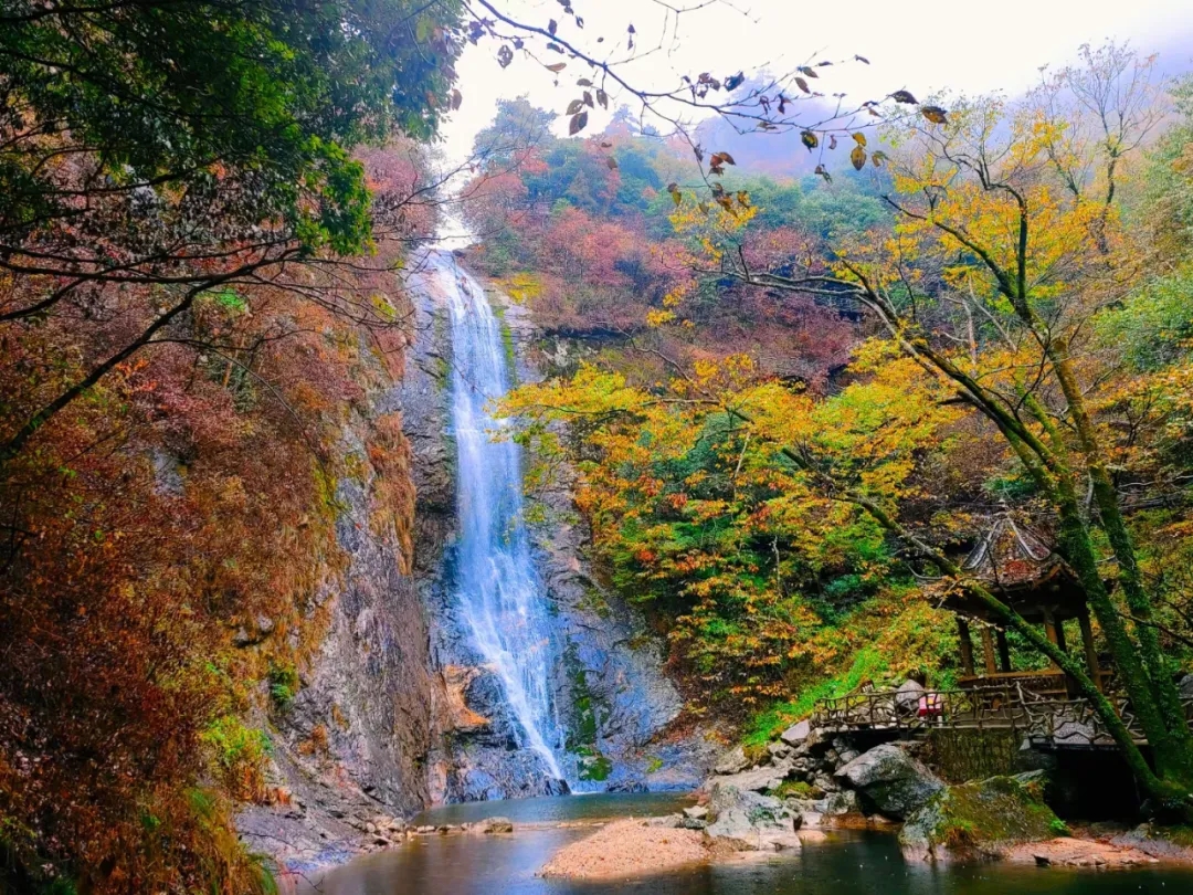 老子有钱lzyq88(中国)有限公司