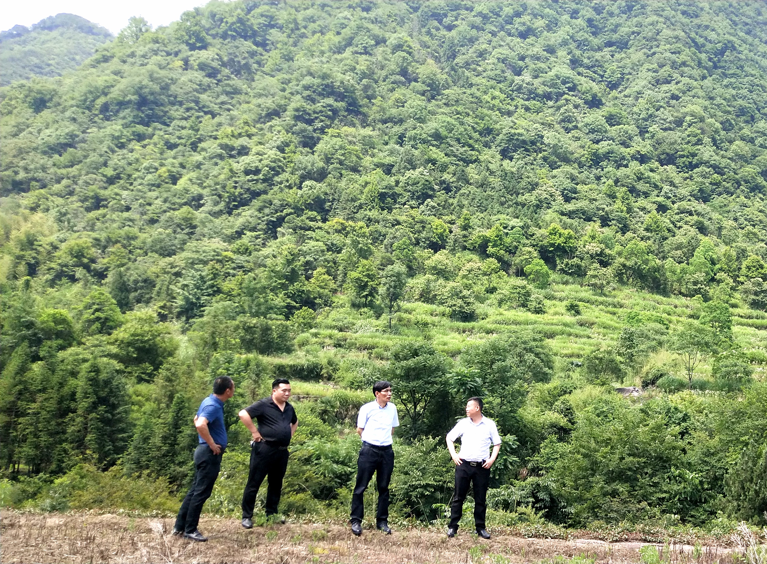 老子有钱lzyq88(中国)有限公司