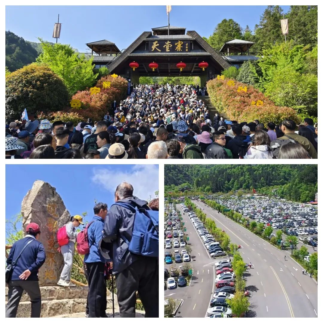 老子有钱lzyq88(中国)有限公司