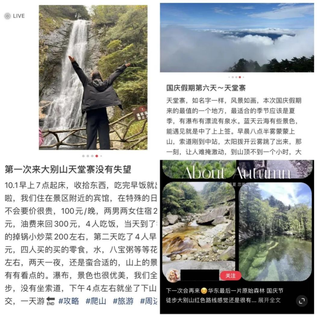 老子有钱lzyq88(中国)有限公司
