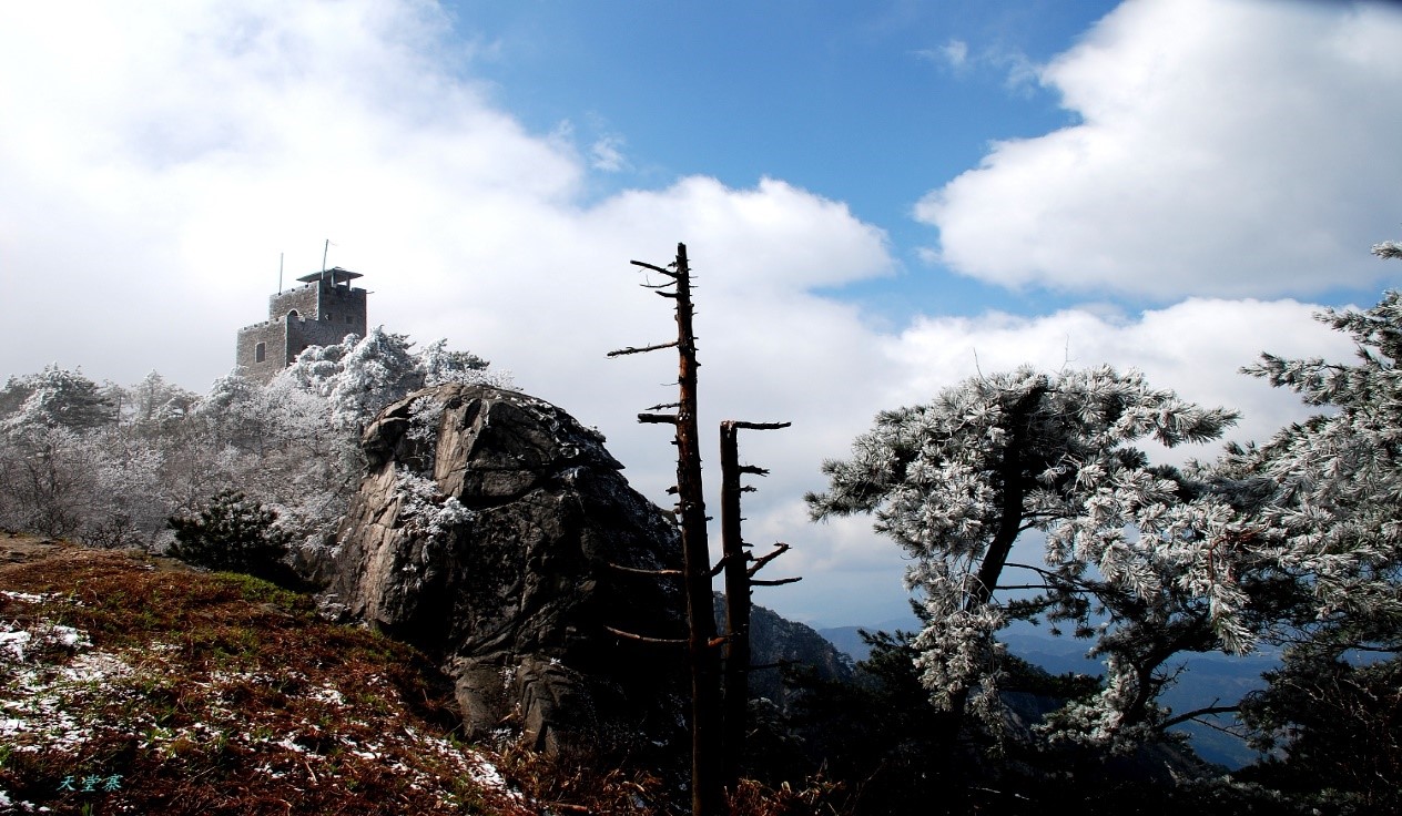 老子有钱lzyq88(中国)有限公司