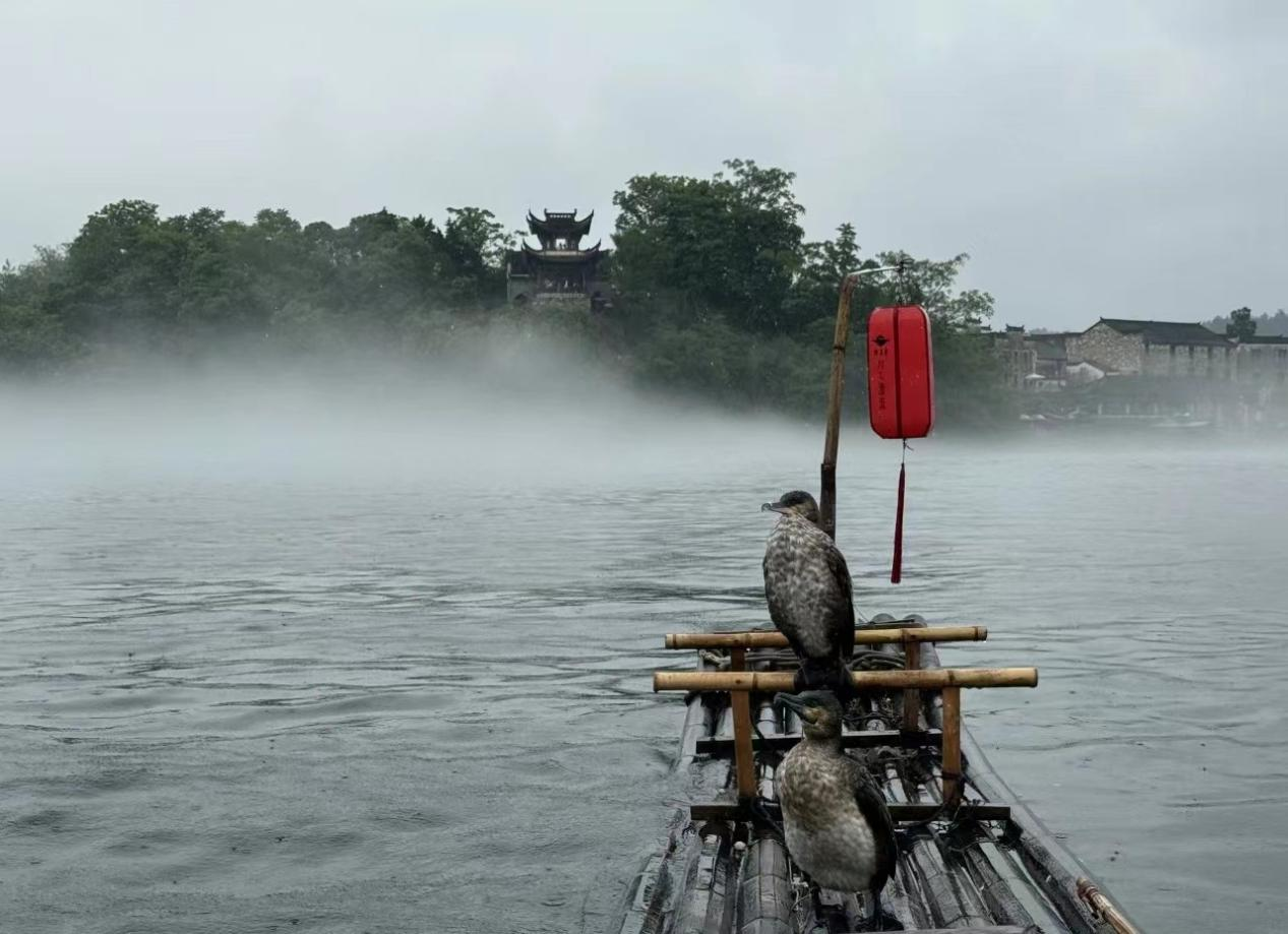 老子有钱lzyq88(中国)有限公司