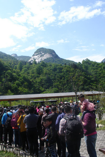 所属企业动态 - 新闻资讯 - 安徽省老子有钱lzyq88集团