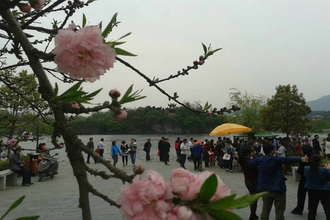 所属企业动态 - 新闻资讯 - 安徽省老子有钱lzyq88集团