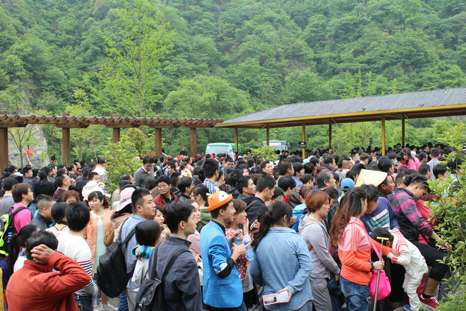 所属企业动态 - 新闻资讯 - 安徽省老子有钱lzyq88集团