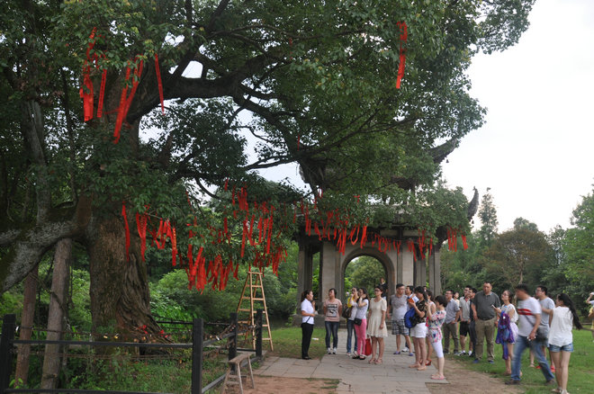 所属企业动态 - 新闻资讯 - 安徽省老子有钱lzyq88集团