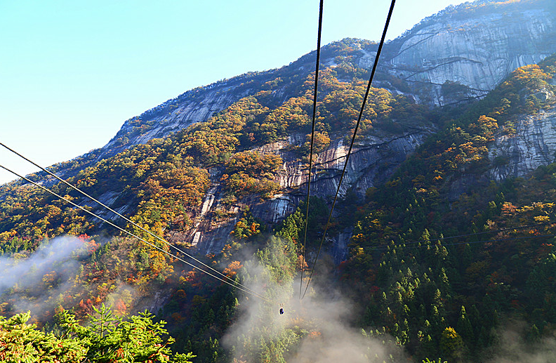 所属企业动态 - 新闻资讯 - 安徽省老子有钱lzyq88集团