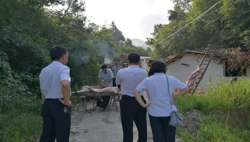 所属企业动态 - 新闻资讯 - 安徽省老子有钱lzyq88集团