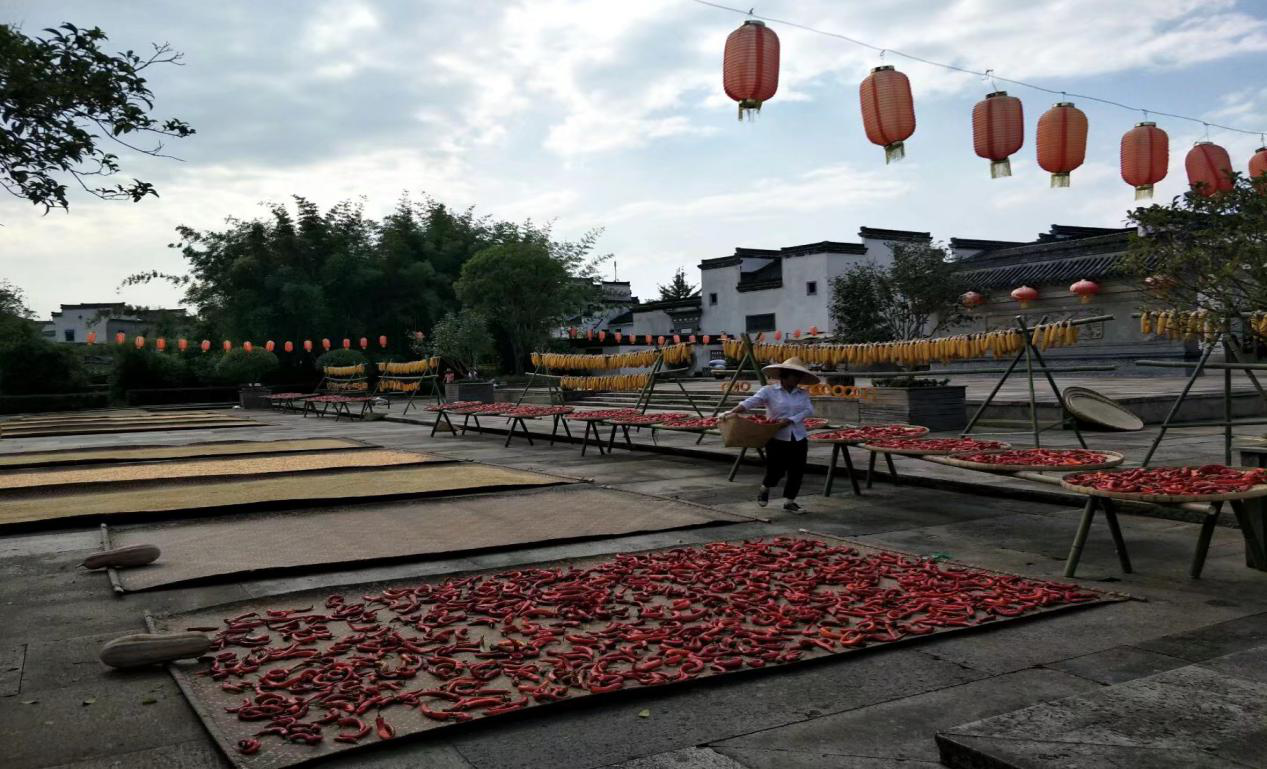 所属企业动态 - 新闻资讯 - 安徽省老子有钱lzyq88集团